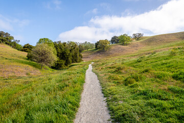 Sycamore Valley Open Space Trails - obrazy, fototapety, plakaty