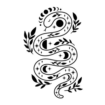 Mystical Snake With Moon Phases And Floral Elements.