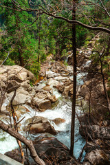 A gorgeous view of a waterfall in the mountains in Yosemite National Park, California.