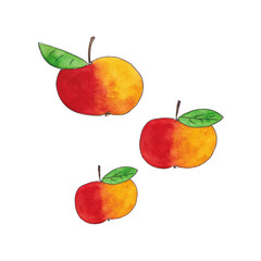 Three red and yellow ripe apples. Watercolor illustration