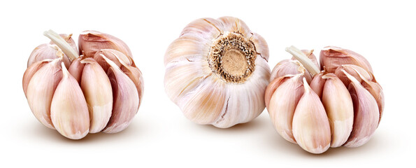 Young heads of garlic isolated on white background