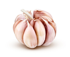 Young heads of garlic isolated on white background