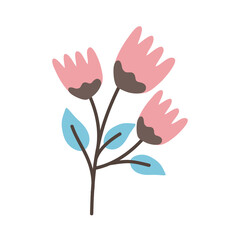 pink flowers with blue leaves