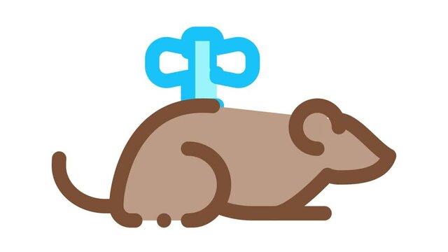 Clockwork Mouse Icon Animation. color Clockwork Mouse animated icon on white background
