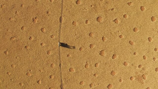 Spectacular epic high aerial view of a safari vehicle driving through the grassy vegetation famous fairy circles in the Namib desert 