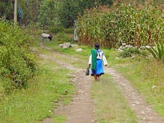 An Ecuadorian woman walking down a dirt road to her home in the Andes mountains.