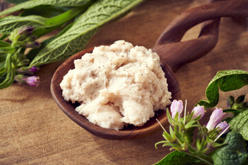 A jar of homemade comfrey root ointment with fresh symphytum plant