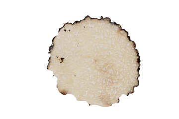 Sliced Truffle Texture on White Background