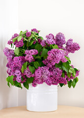 Big bouquet of spring Lilac flowers in white pot on table 
