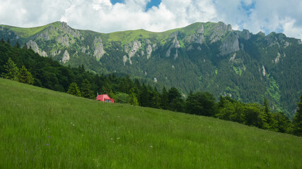The sharp ridge of Ciucas Mountains rising above the green coniferous forests. The calcareous cliffs are sharp and steep. Summer season, Carpathia, Romania.