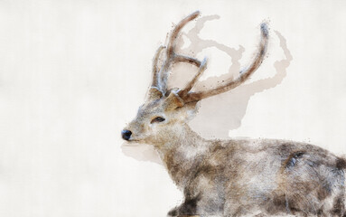The brown deer sitting in the field. Watercolor style.