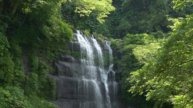 Close Up Footage of a Waterfall in a Forest in Early Summer (Real Time)
