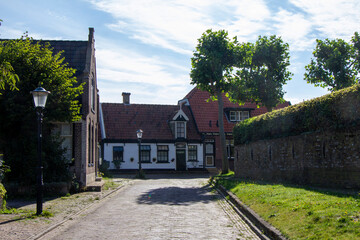 houses in the village