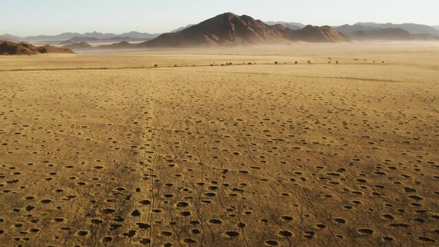 Spectacular epic aerial view grassy vegetation famous fairy circles in the Namib desert 