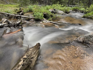 stream in the forest and mountains