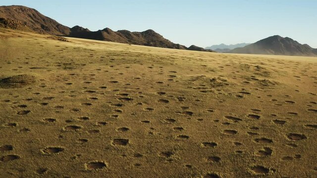Spectacular epic aerial fly over view grassy vegetation famous fairy circles in the Namib desert 