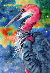 Fototapeta premium Watercolor illustration of a tricolored heron with blue and purple feathers on a dark green and blue background 