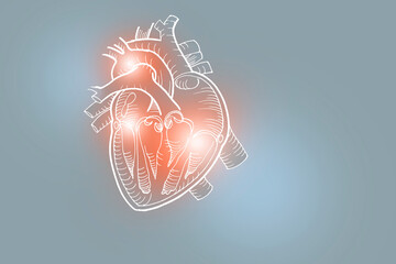 Handrawn illustration of human heart on light gray background.
Medical, science set with main human organs with empty copy space for text or infographic.
