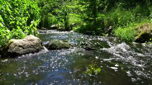 Bach im Sommer - Bachlauf mit Steine und klarem Wasser