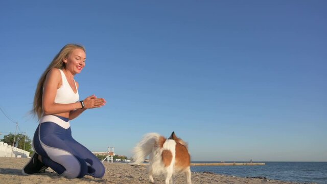 outdoor obedience leisure training activity of sport beautiful young woman throwing yellow frisbee disc to jumping small chihuahua dog on summer sand beach on blue sky background