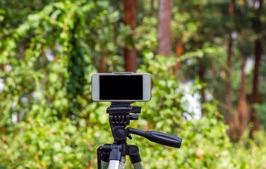 A mobile phone on a tripod capturing image of natural fores