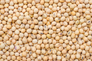 Dry organic soybean seed background, for clean food ingredient or agricultural product concept