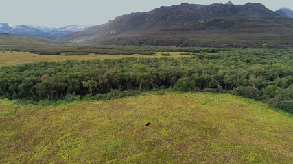 Obraz premium landscape in the mountains