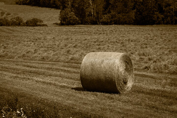 A roll of hay in a field in sepia color