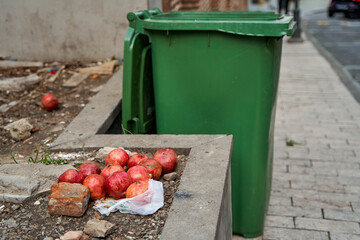 Ripe pomegranate fruits lie near the trash can. Help the homeless