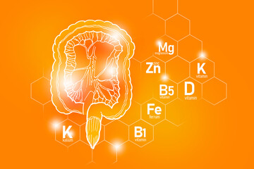 Essential nutrients for Intestine health including Kalium, Ferrum, Magnesium, Vitamin D.
Design set of main human organs with molecular grid, micronutrients and vitamins on positive orange background.