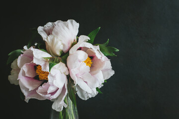 Romantic bouquet of a light pink peonies in a vase on a dark background.
