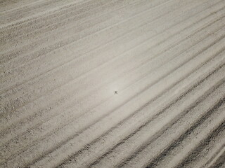 Aerial view of an agricultural field with grain planted in spring in Bavaria