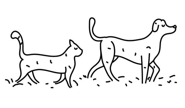 Cat and dog walking