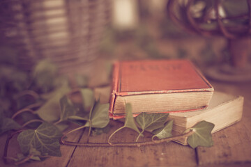 Decorative background with old books and plants