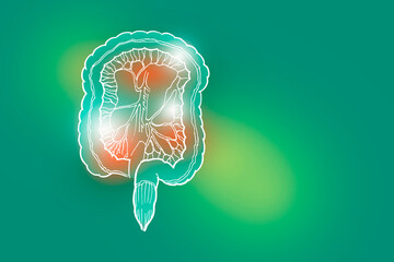 Handrawn illustration of human Intestine on light green background.
Medical, science set with main human organs with empty copy space for text or infographic.