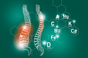 Essential nutrients for Spine health including Magnesium, Vitamin B12, Calcium, Ferrum.
Design set of main human organs with molecular grid, micronutrients and vitamins on deep green background.