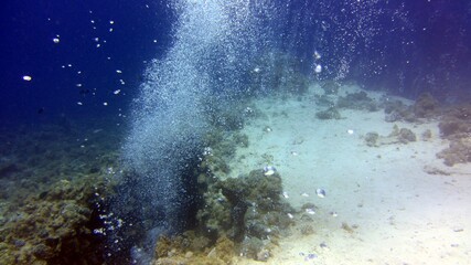 bubbles in the water