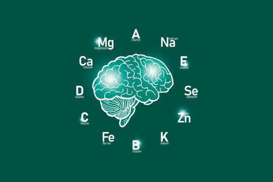 Stylized clockface with essential vitamins and microelements for human health, hand drawn human Brain, deep green background. 
Detox of main organs and healthcare concept design mockup.