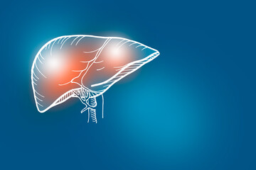 Handrawn illustration of human Liver on dark blue background.
Medical, science set with main human organs with empty copy space for text or infographic.