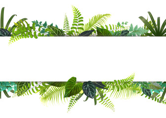 Banner with green tropical leaves. Green leaves frame template.