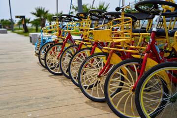 Bicycle rental for cycling along the embankment. Bicycle parking for the whole family