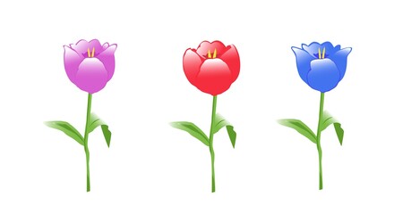 Obraz premium A set of flowers for stickers, labels, gift paper.