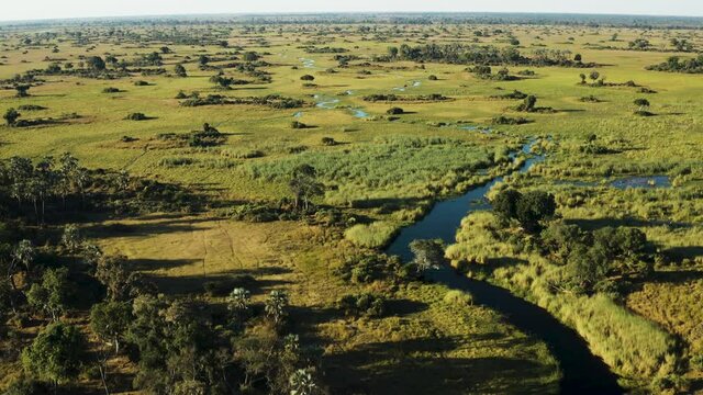 Spectacular aerial fly over view of the beautiful scenic curving patterned waterways and lagoons of the Okavango Delta