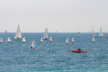 Course nautique de voiliers sur une mer calme 