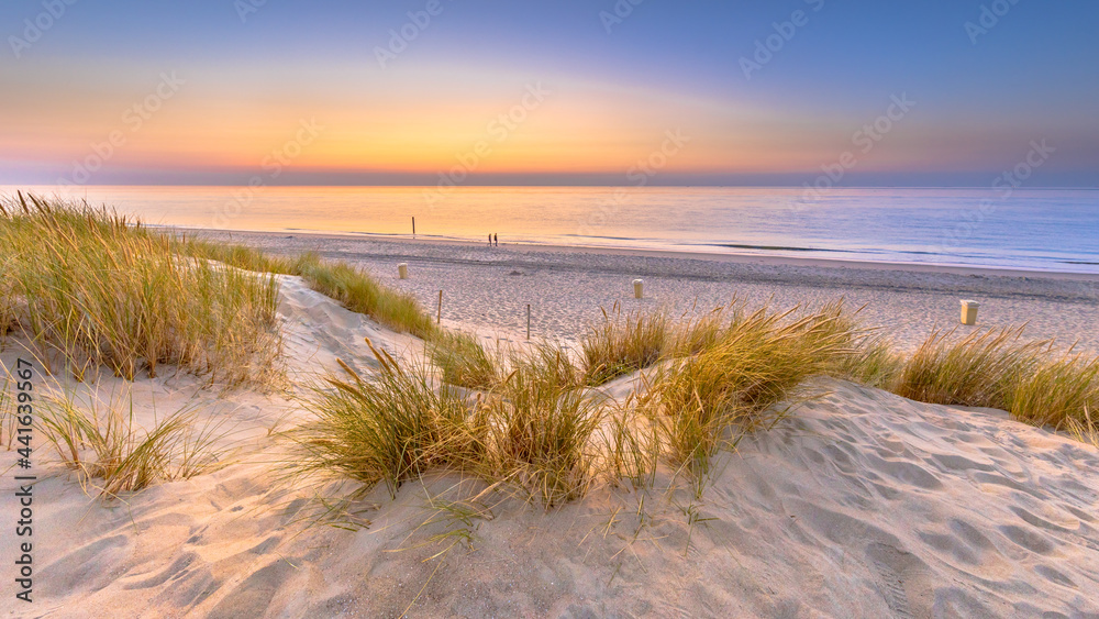 Canvas Prints Sunset View over ocean from dune in Zeeland