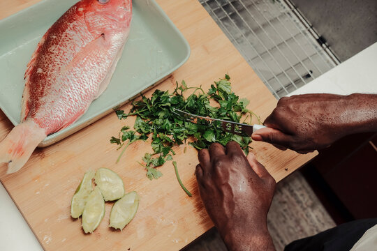 Chopping bunch of fresh herbs in kitchen