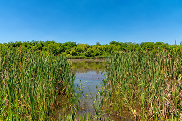 Jarkovci Lake is located near the village of Jarkovci. The lake is about two kilometers long and represents an artificial accumulation