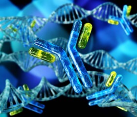 antibody, immunoglobulin, Y-shaped protein produced mainly by plasma cells,   3d rendering