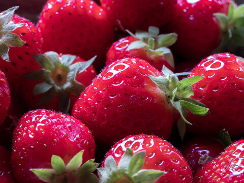 Close-up of Freshly Harvested Strawberries, Selected Focus