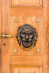 Lion on the doors